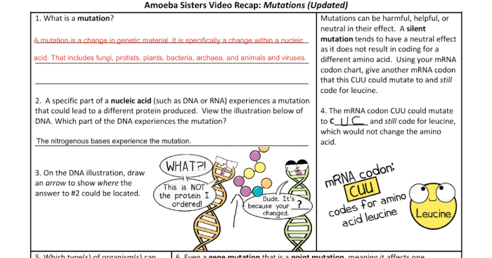 Amoeba sisters video recap mutations