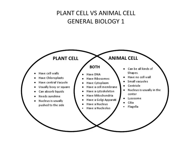 Venn diagram plant animal cells cell vs between comparing worksheet choose board science structure inspirational body drawing notes