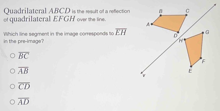 Sammy is classifying quadrilateral efgh