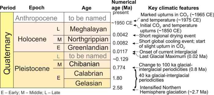 Apes appeared during this geological epoch