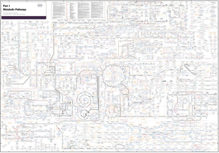 Organic chemistry igcse gcse