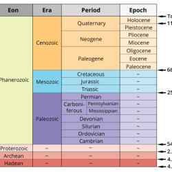 Biological