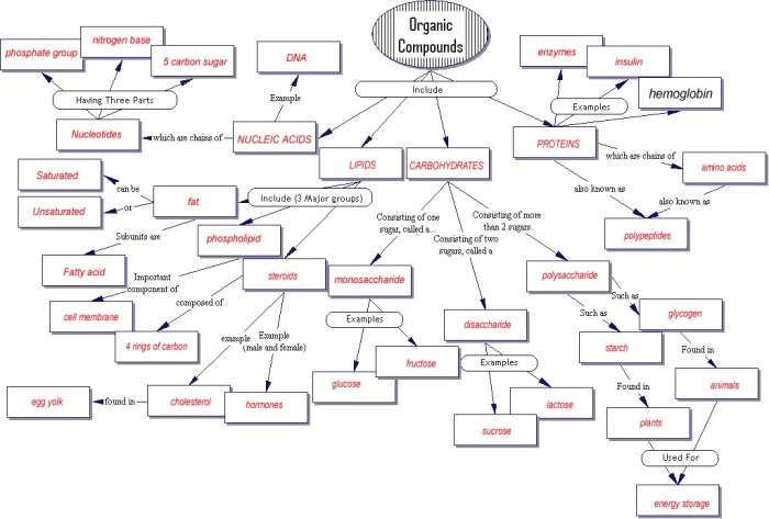 Concept map organic compounds answer key