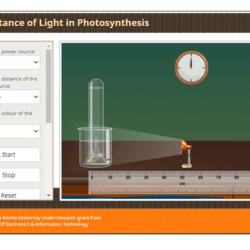 Photosynthesis virtual lab answer key