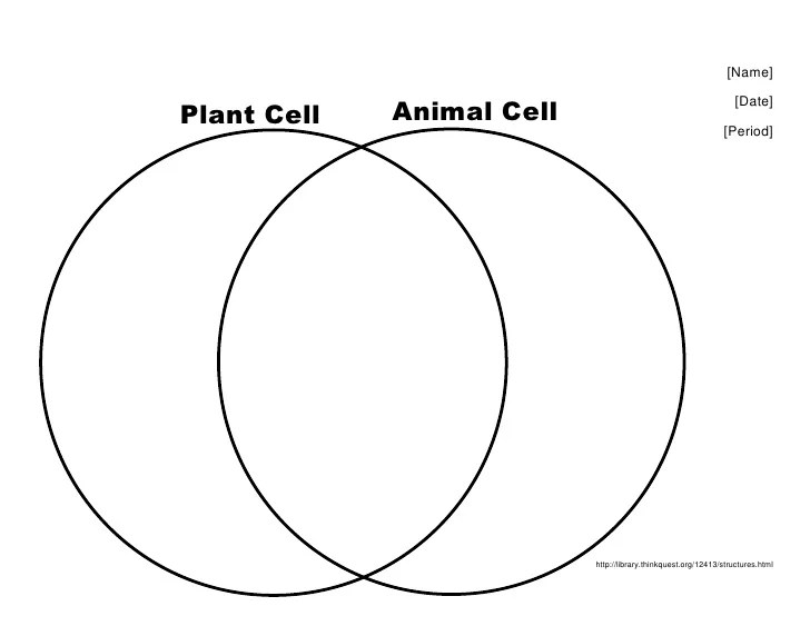 Venn diagram animal vs plant cell