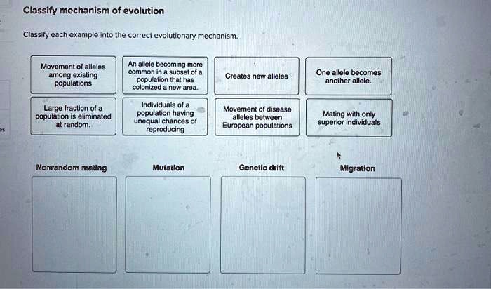 Classify mechanism into each evolution correct evolutionary example transcribed text show