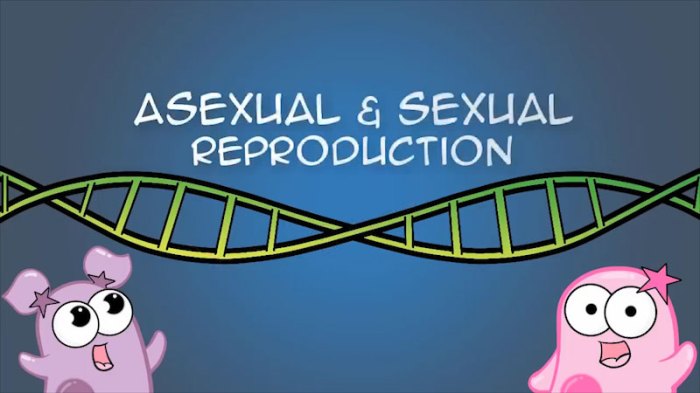 Reproduction asexual differences biology microbenotes bacteria parthenogenesis mitosis references