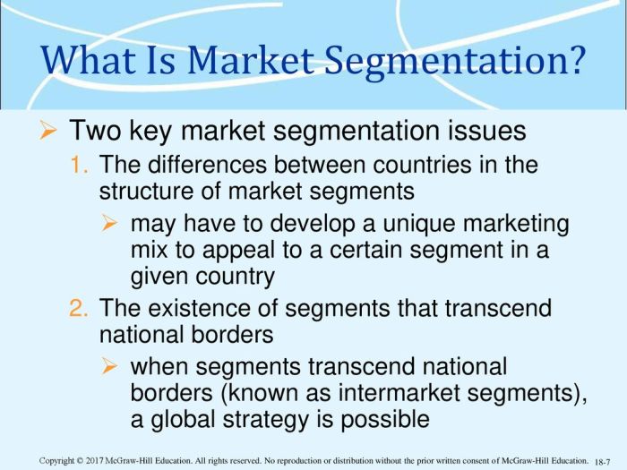 If market segments transcend national borders