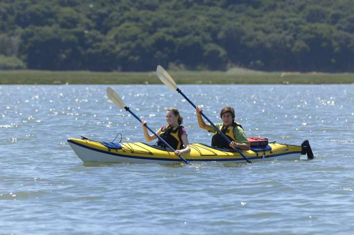 A person in a kayak starts paddling and it accelerates